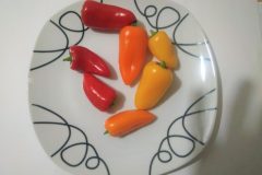 Mini-poivron 7