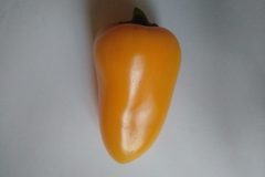Mini-poivron-3