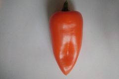 Mini-poivron-5