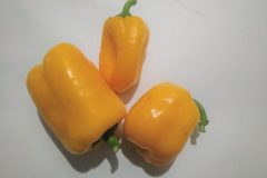 Poivron-Amarelo-Dasti-2