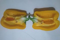 Poivron-Amarelo-Dasti-4