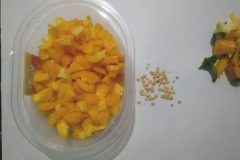 Poivron-Amarelo-Dasti-6