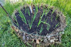 tour-de-culture-3-scaled-e1713477397815