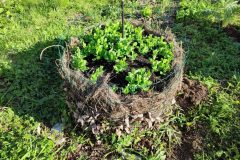 tour-de-culture-4-scaled-e1713477377475