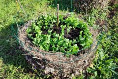 tour-de-culture-5-scaled-e1713477357626