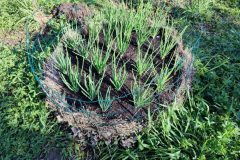 tour-de-culture-7-scaled-e1713477316434