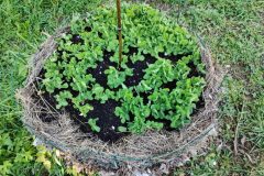 tour-de-culture-8-scaled-e1713477295270