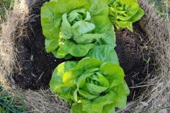 tour-de-culture-9-scaled-e1713476678767