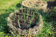 tour-de-culture-scaled-e1713477237407